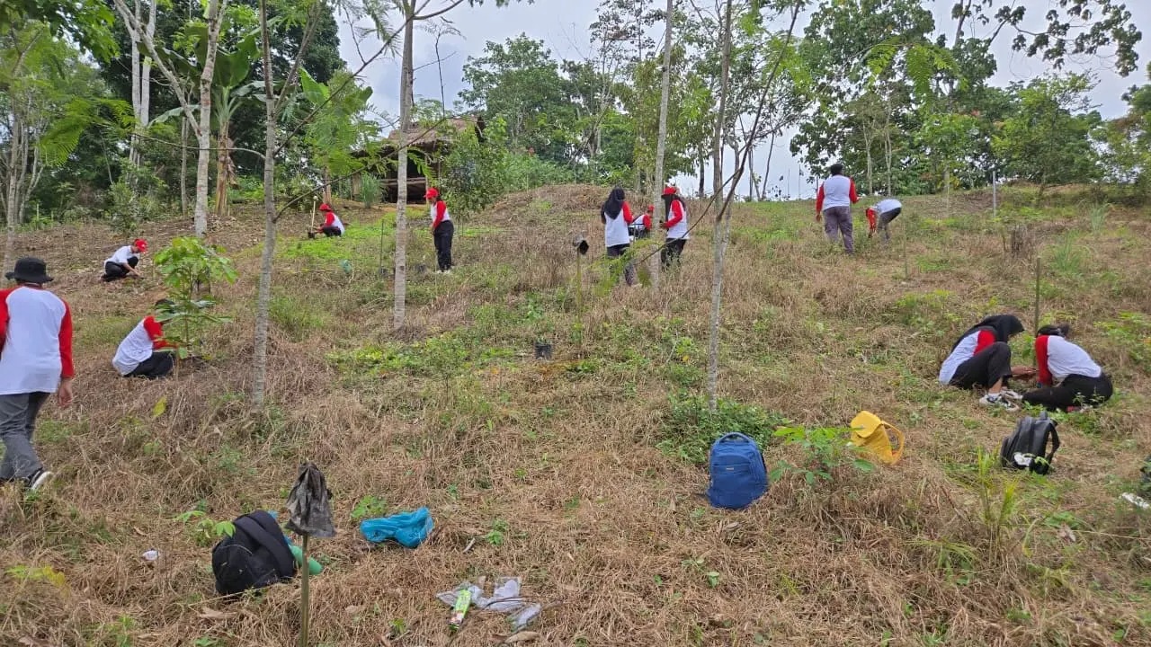 Seribu Pohon, Sejuta Harapan: Langkah USU Membangun Kesadaran Lingkungan Berkelanjutan
